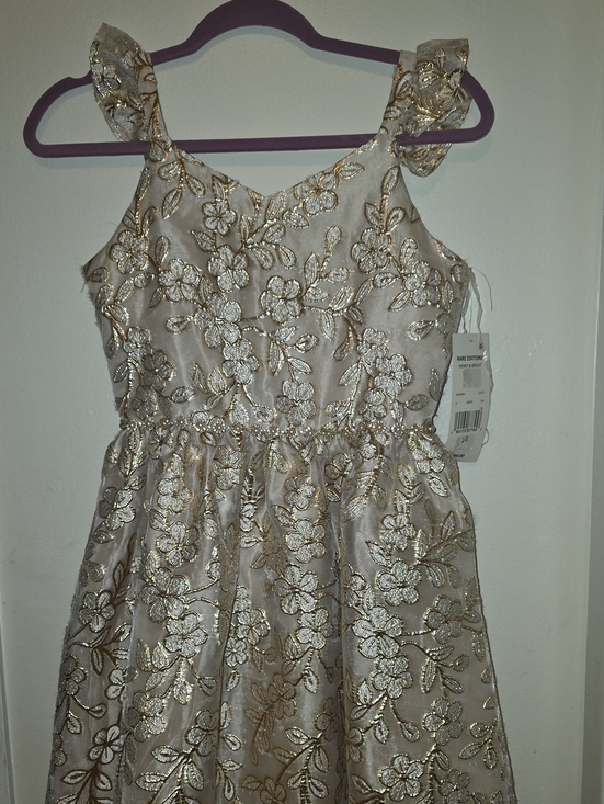 Rare Editions Other - Rare Editions Gold Floral Embroidered Ivory Party Dress